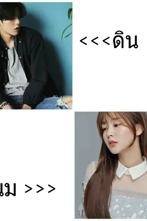 ปกนิยาย used to love จำรักร้าย