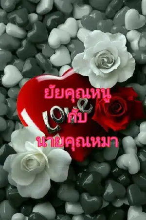 ปกนิยาย