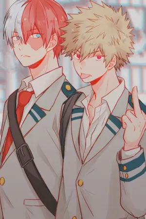 ปกนิยาย โทโดบาคุ(todobaku)