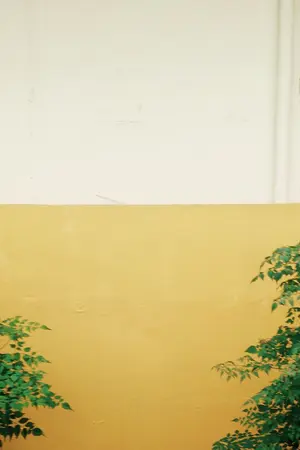 ปกนิยาย naturally #jaeten