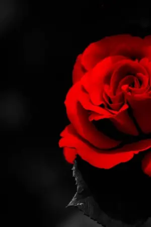 ปกนิยาย Fairytail  CHANBAEK