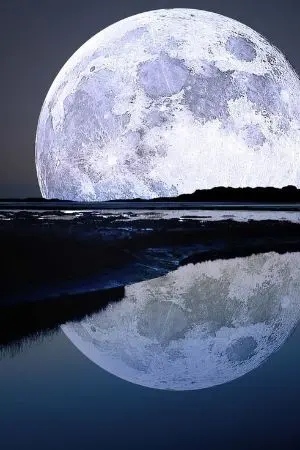 ปกนิยาย องค์หญิงเยว่ฉี