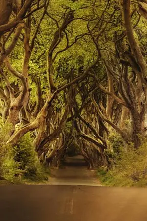 ปกนิยาย My fic ROV [yaoi?]