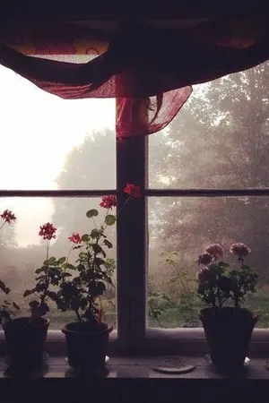 ปกนิยาย [KookMin] แม้ไม่เป็นดั่งฝัน