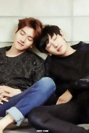 ปกนิยาย [EXO-CB] I'm your CB
