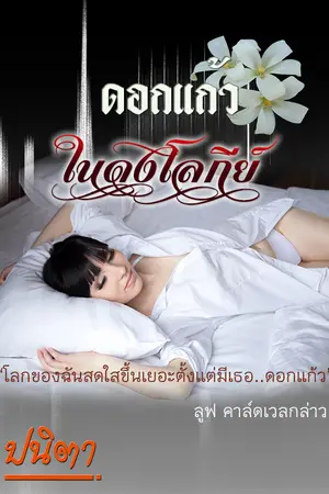 ปกนิยาย