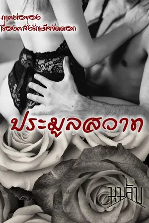 ปกนิยาย