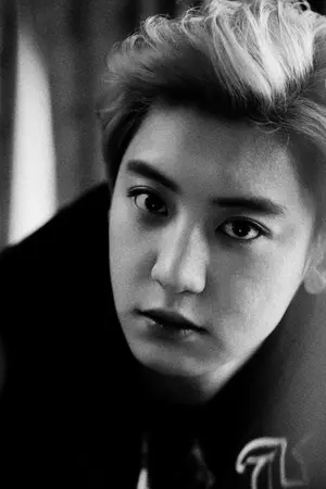 ปกนิยาย #CY