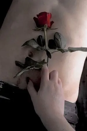 ปกนิยาย A Thousand Years | Chanbaek