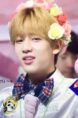 ปกนิยาย นุ้งแบมคนน่ารักกับหนุ่มหล่อทั้ง7[Allbam]