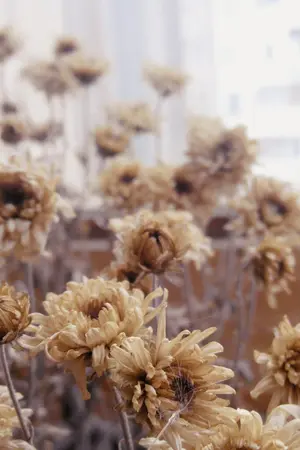 ปกนิยาย birthday :not markmin it's minmali