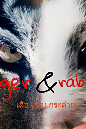 ปกนิยาย Tiger & Rabbit  . เสือ(กัด)กระต่าย[Yaoi]