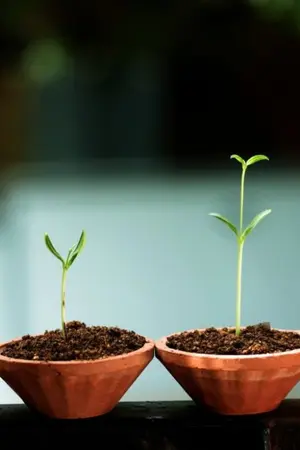 ปกนิยาย Begin. [ Jaebum x Jinyoung ]