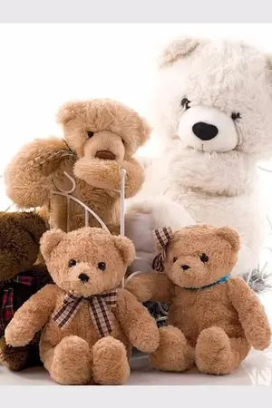 ปกนิยาย A wizrad and The dolls พ่อมดผู้วิเศษกับร้านขายตุ๊กตา