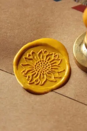 ปกนิยาย (nct) sf/os le tournesol— markmin