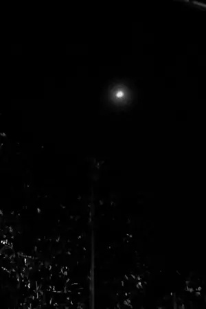 ปกนิยาย The War Lord