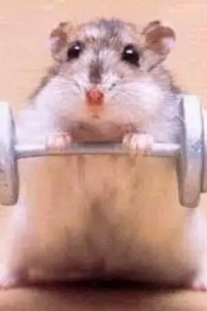 ปกนิยาย [Chanom]สัญญาถ้าได้กิน'ชานม'แล้วจะไม่งอแง