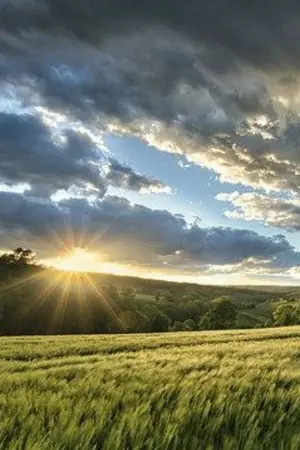 ปกนิยาย จันทราหวน...คืนสุริยัน