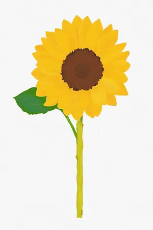 ปกนิยาย SF/OS SUNRICH (ChanBaek)