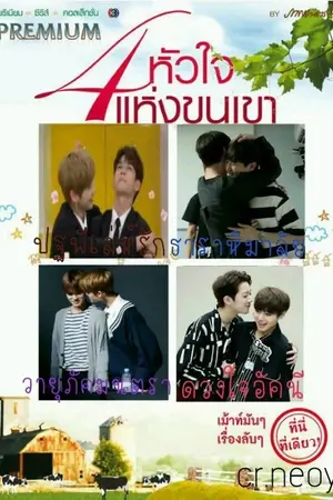 ปกนิยาย สี่หัวใจเเห่งโปรดิวซ์-MH LH NO JH [Ft.PD101]