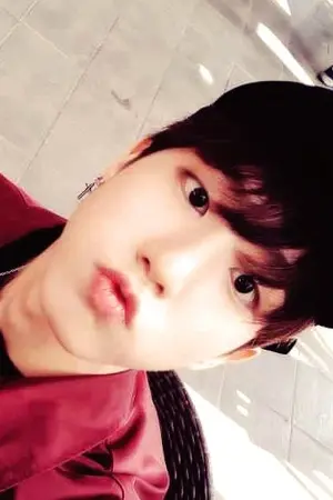 ปกนิยาย [Stray Kids] : Benefit #ChanJisung