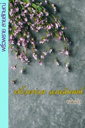 ปกนิยาย พริ้วพราย ลายลักษณ์