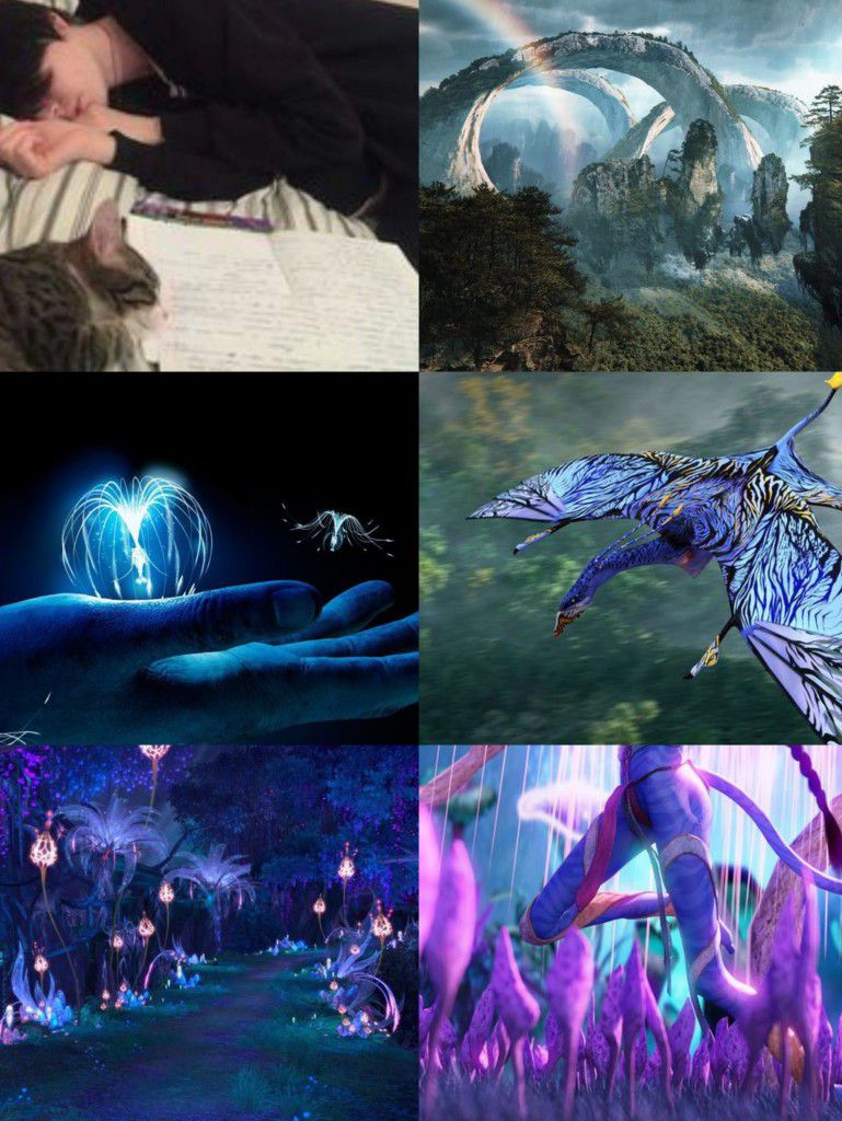 ความจริง ความฝัน หรือเรื่องลวงหลอก ไม่มีสิ่งใดเลยที่เรน วอลล์ฟลาวจะตอบ ...