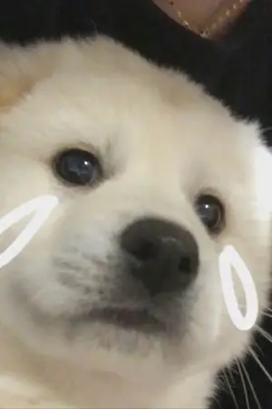 ปกนิยาย พี่ผมมีอะไรจะบอก...