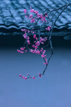 ปกนิยาย ท่านแม่ทัพโปรดปราณีข้าด้วยเถิด [BL/จีนโบราณ]