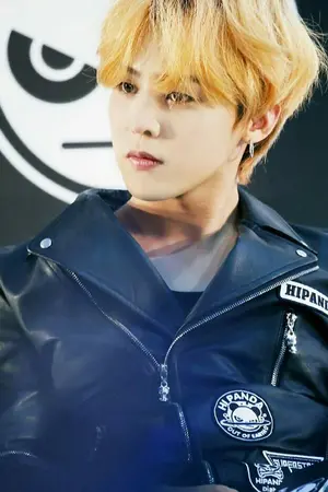 ปกนิยาย MY DARLING. รุ่นพี่จอมตื้อ