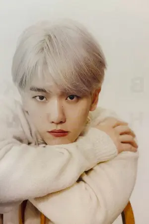 ปกนิยาย LUNARIN / ChanBaek