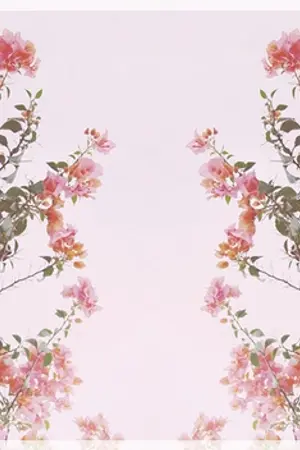 ปกนิยาย (nct) os,sf - efflorescence ❀ noren, markren, allren