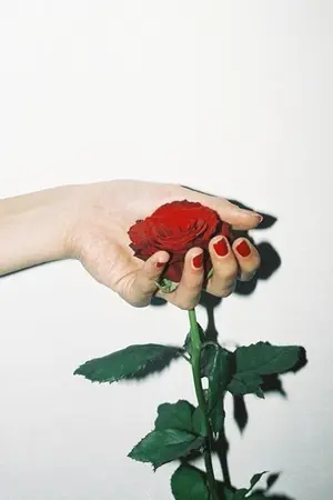 ปกนิยาย johnten; La Vie En Rose 🌹 #มาเฟียที่รักจต