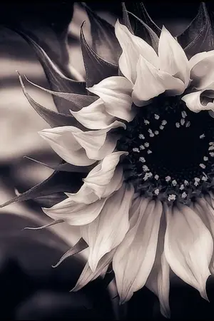 ปกนิยาย Story of element