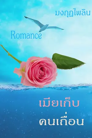 ปกนิยาย เมียเก็บคนเถื่อน