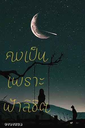 ปกนิยาย คงเป็นเพราะฟ้าลิขิต(Yuri)