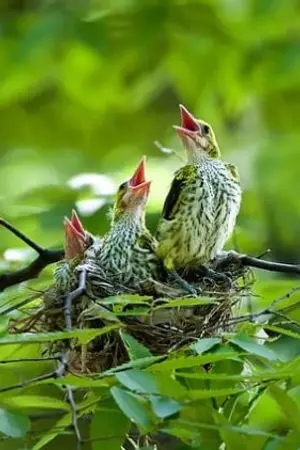 ปกนิยาย เด็กควรรักษาก่อนแก้ไข