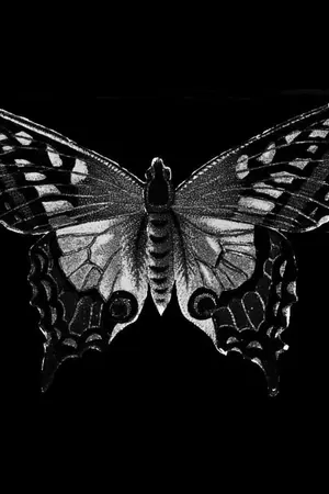 ปกนิยาย Bad Butterfly [Jinmin]