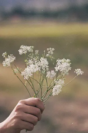 ปกนิยาย วาฬของก้อนเมฆ l Whale and Cloud l #MarkBam