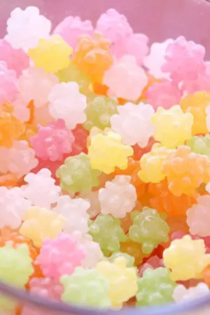 ปกนิยาย ส่งตัวละครศิขะ