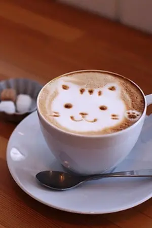 ปกนิยาย shy boy (hoonyoung)