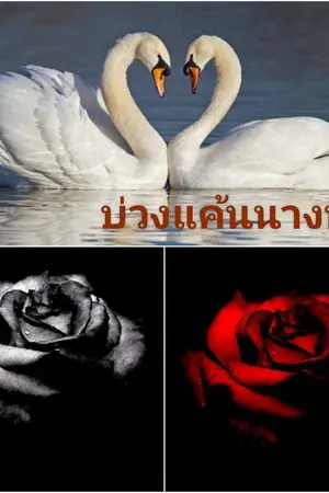 ปกนิยาย บ่วงแค้นนางหงส์​