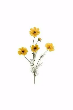 ปกนิยาย 「 Please 」อยากมีคุณโปรด