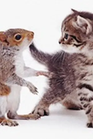 ปกนิยาย เมื่อจุดโฟกัสของคุณเปลี่ยนไป #ไบร์ทมิวซ์