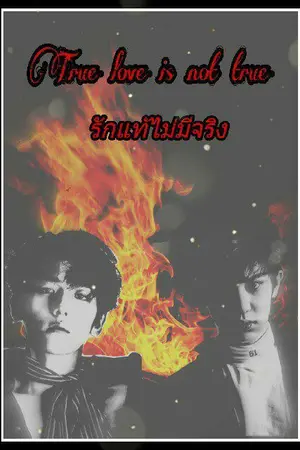 ปกนิยาย True love is not real