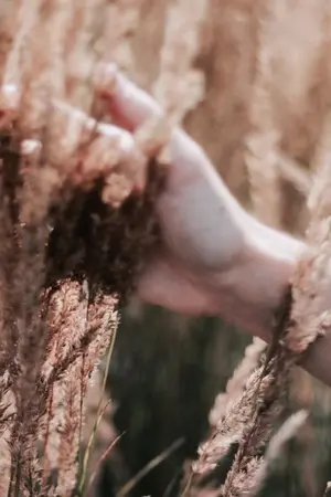 ปกนิยาย [BTS] OS/SF midnightmare AllJin x KookJin