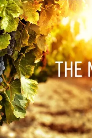 ปกนิยาย GOT7 | The Memory’s ความทรงจำ | Markbam