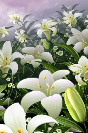 ปกนิยาย Rosé & Jurietta