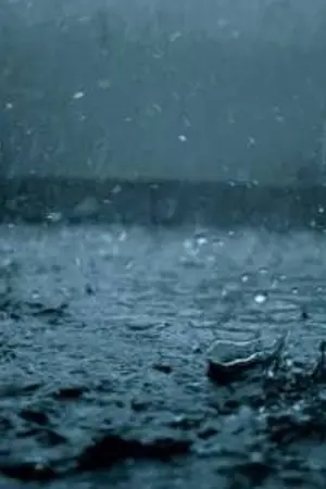 ปกนิยาย Because of rain