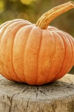 ปกนิยาย (ไม่แต่งต่อ)เกิดใหม่เป็นลูกลับๆที่ธรรมดาแต่ไม่ธรรมดา!!![bl] [yaoi]